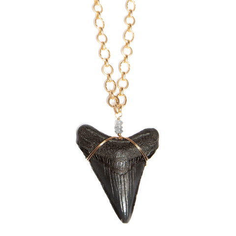 'titan' sharks tooth necklace - black