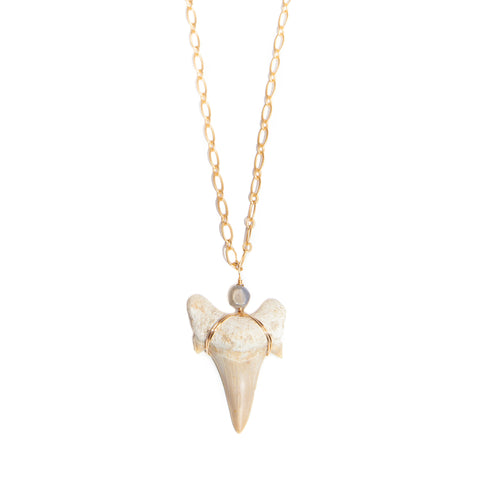 'kira' sharks tooth necklace