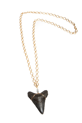 'titan' sharks tooth necklace - black